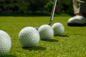 Golf Courses of Sarasota 